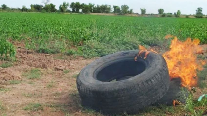 Quema de llantas, una práctica para salvar cultivos pero muy dañina en el Valle del Mayo