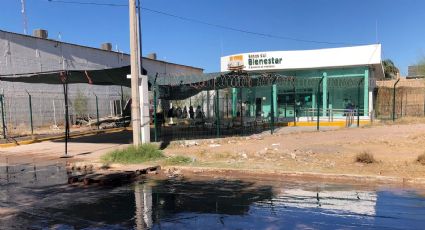 Adultos Mayores cobran su pensión entre aguas negras en Navojoa, Sonora