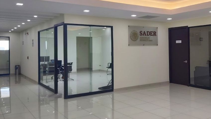 Operación de la Sader en Cajeme, promesa incumplida por el Gobierno de AMLO