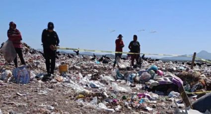 Tendría dos meses de vida: Hallan el cadáver de un bebé en un basurero de Sinaloa