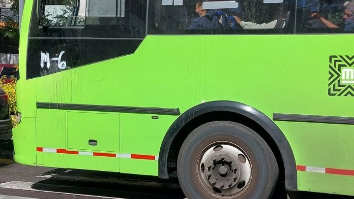 Tragedia en Chapultepec: RTP atropella y mata a mujer que intentaba cruzar la calle