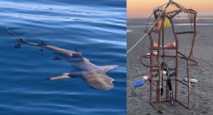 Pescadores construyen sus propias ‘jaulas anti tiburones’ en Yavaros, Huatabampo