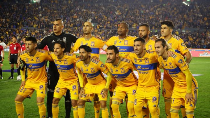 ¿Tigres sería transmitido a través de Amazon Prime? Esto es lo que se sabe