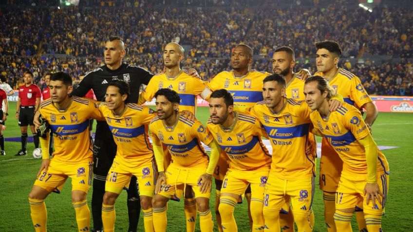 ¿Tigres sería transmitido a través de Amazon Prime? Esto es lo que se sabe