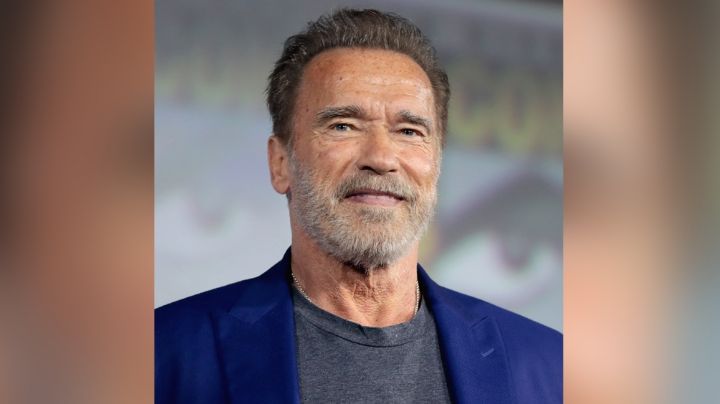 ¿De Hollywood a la cárcel? Arnold Schwarzenegger es detenido en Alemania por este motivo