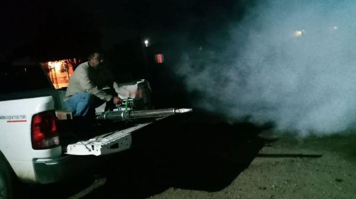 Vecinos de Navojoa piden fumigar contra el dengue, ante temor de proliferación