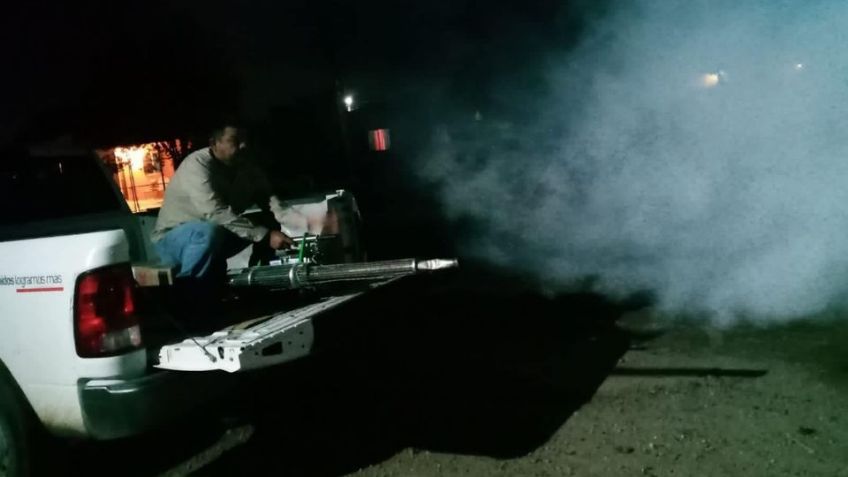 Vecinos de Navojoa piden fumigar contra el dengue, ante temor de proliferación