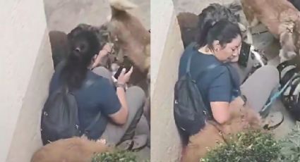 VIDEO: Paseadora de perros agrede varias mascotas en CDMX; internautas condenan el hecho