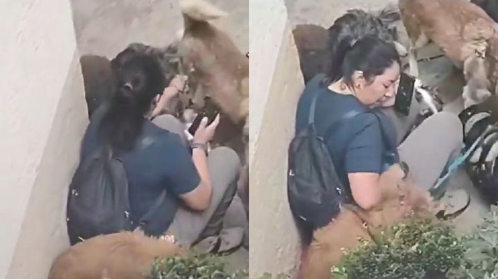 VIDEO: Paseadora de perros agrede varias mascotas en CDMX; internautas condenan el hecho