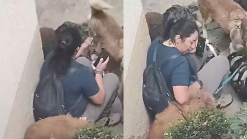 VIDEO: Paseadora de perros agrede varias mascotas en CDMX; internautas condenan el hecho