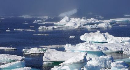 Virus atrapados en el hielo podrían desatar una nueva pandemia con el derretimiento del ártico