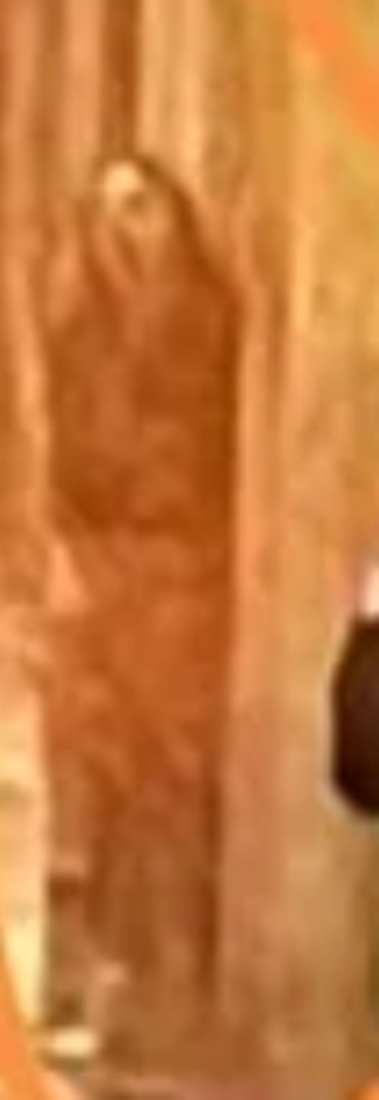 Supuesto fantasma del accidente de Coyoacán