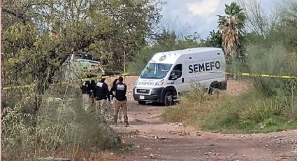 Vecinos de Cajeme salen a caminar y hallan restos humanos: Reconocen a víctima