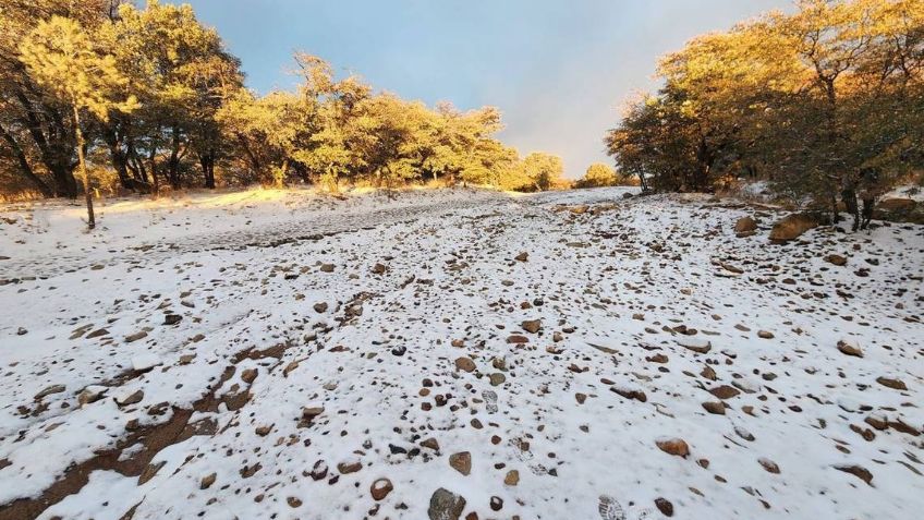 Nuevo Frente Frío causará vientos fuertes y heladas en Sonora este fin de semana: Conagua