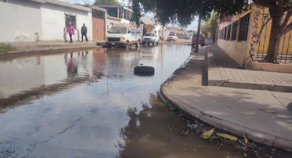 Ciudad Obregón: Vecinos de la colonia Cortinas cerrarían calle en protesta por aguas negras