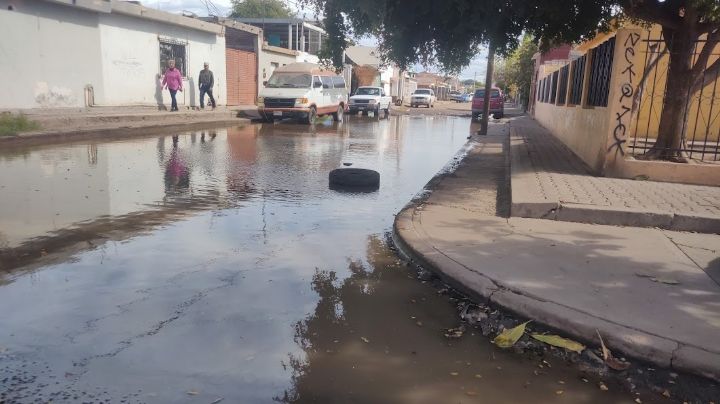 Ciudad Obregón: Vecinos de la colonia Cortinas cerrarían calle en protesta por aguas negras