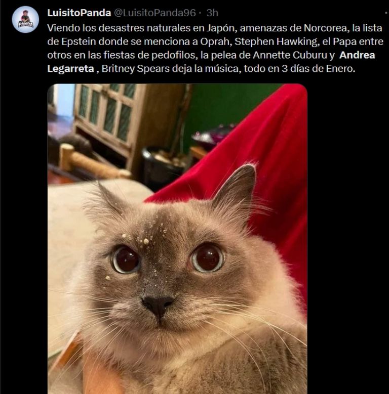 Andrea Legarreta se vuelve la burla de X por Anette Cuburu