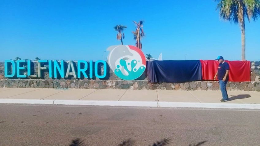 Despiden a empleados del Delfinario Sonora por denunciar anomalías y falta a sus derechos