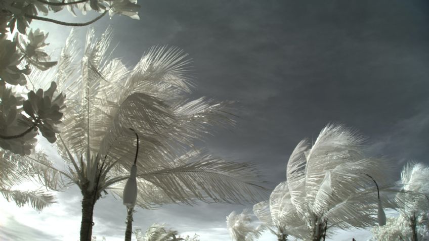 Clima en Sonora 5 de enero: Frente Frío 24 traerá ambiente gélido y cielo nublado, dice Conagua