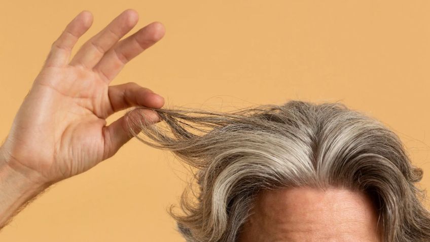 ¿Tu cabello no crece? Estas son las razones por las que tu melena está estancada