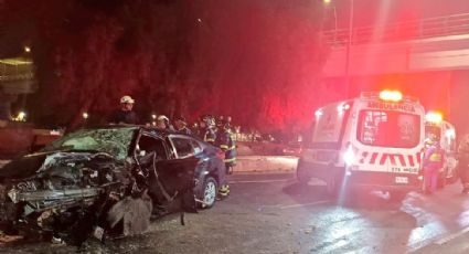 Fatídico accidente: Mujer muere tras estrellarse contra árbol en calzada Ignacio Zaragoza