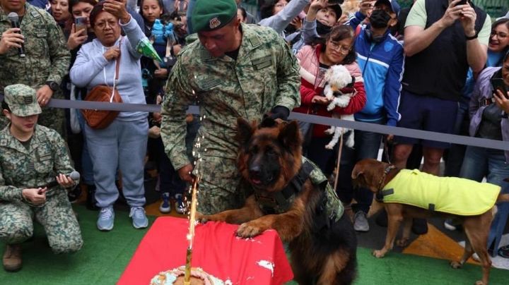 Celebra Sedena cumpleaños de Arkadas, perrito donado por Turquía tras muerte de Proteo