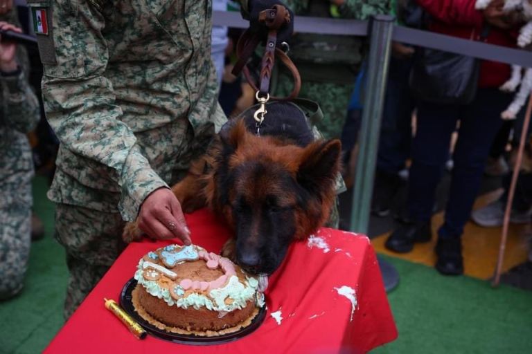 Cumpleaños de Arkadas