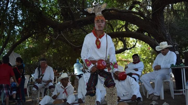 Etnia yoreme mayo tendrá representación directa en el Congreso Local