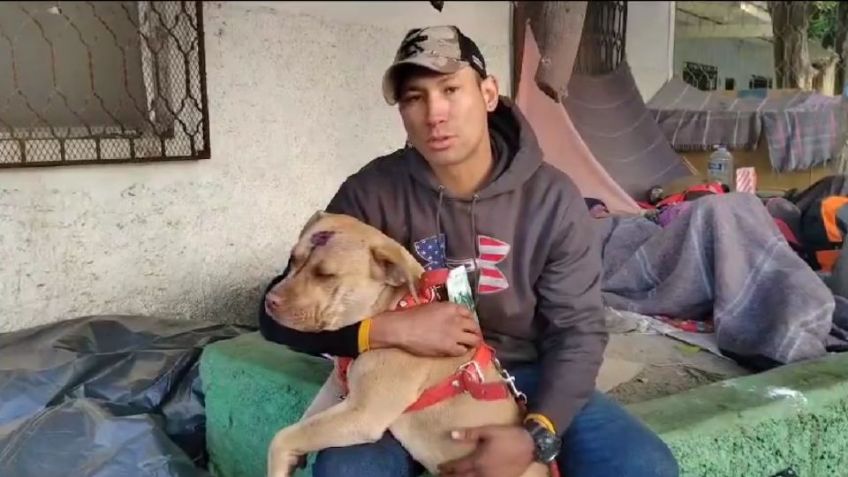 Pitbull venezolano es golpeado por policías; Sansón y su dueño están varados en Torreón
