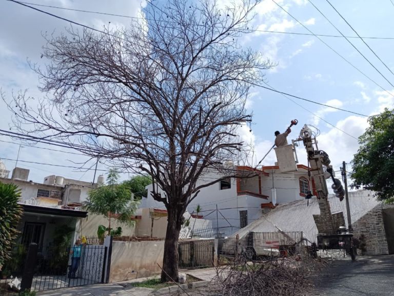 Clima en Culiacán hoy 13 de octubre