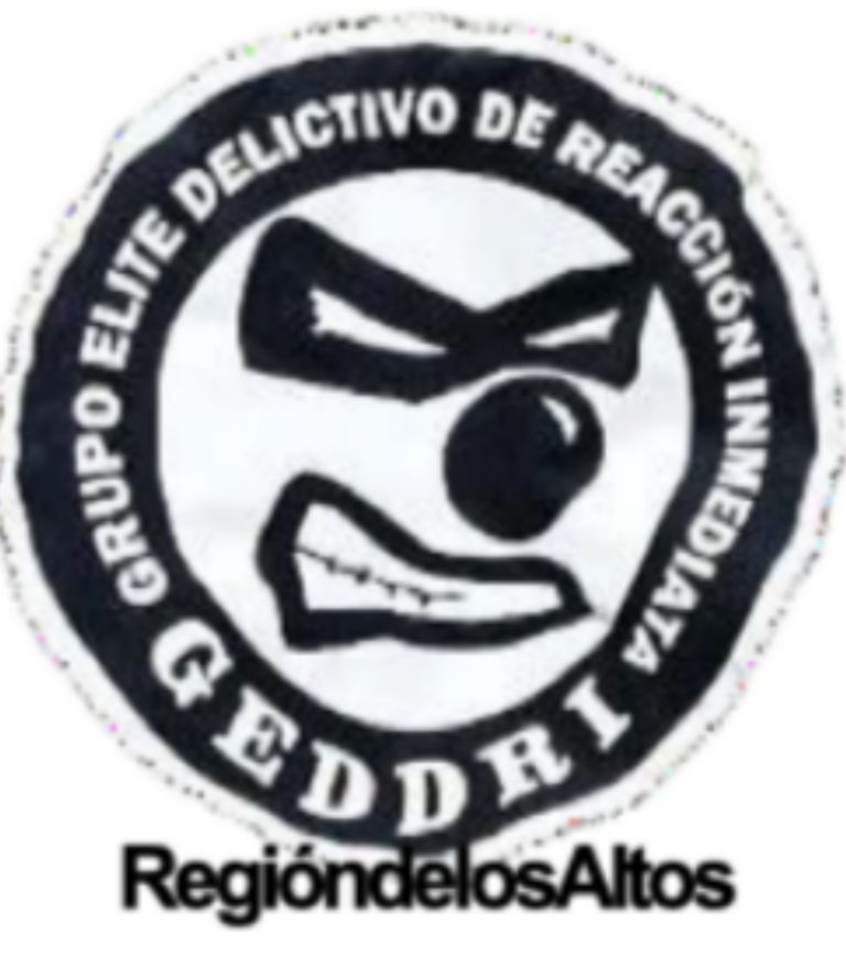 Representación del GEDDRI