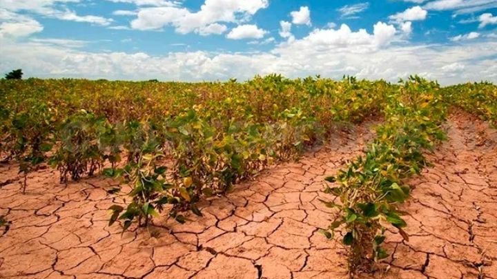 “En los Valles del Yaqui y Mayo se respira una gran necesidad”: Alcano