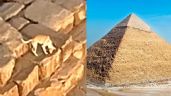 Foto ilustrativa de la nota titulada ¿La reencarnación de Anubis? Perrito se vuelve viral tras escalar la Pirámide de Guiza