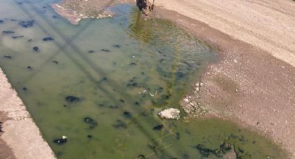 Ciudad Obregón: Vecinos de Valle Dorado llevan meses viviendo entre las aguas negras