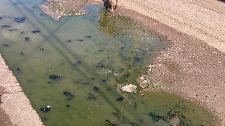 Ciudad Obregón: Vecinos de Valle Dorado llevan meses viviendo entre las aguas negras