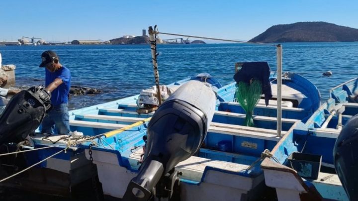 Mandos civiles deben mantener vigilancia en pesca de Guaymas: Regidor Manuel Aguilar