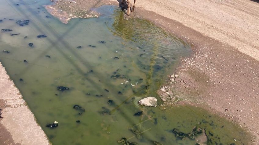 Ciudad Obregón: Vecinos de Valle Dorado llevan meses viviendo entre las aguas negras