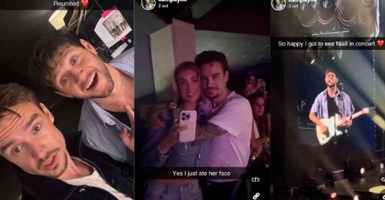 Niall Horan es captado devastado tras muerte de Liam Payne