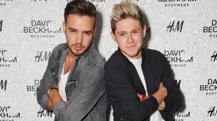 Niall Horan se lamenta no poder salvar a Liam Payne; envía triste mensaje: "Es desgarrador"