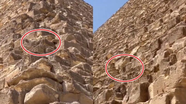 Perrito que escaló la Pirámide de Guiza vuelve a hacerse viral; así bajó del monumento