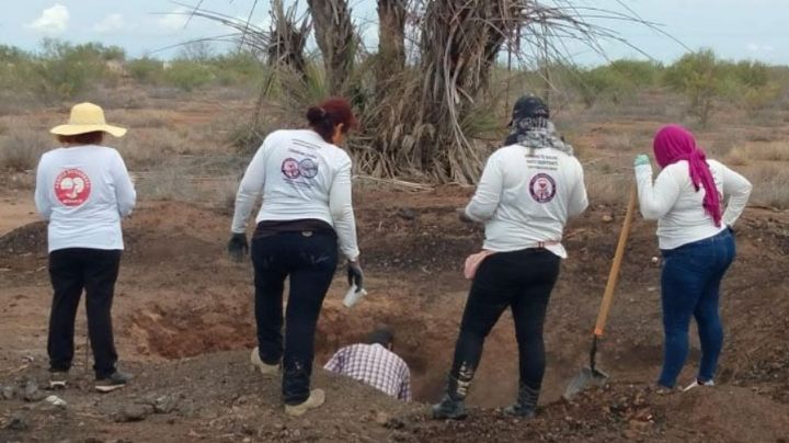 16 cuerpos enterrados en fosas clandestinas en Sonora y BCS: Madres Buscadoras