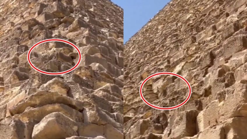 Perrito que escaló la Pirámide de Guiza vuelve a hacerse viral; así bajó del monumento