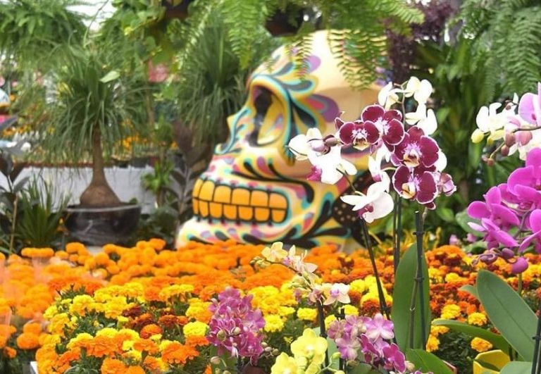 Cempasúchil en Paseo de la Reforma 