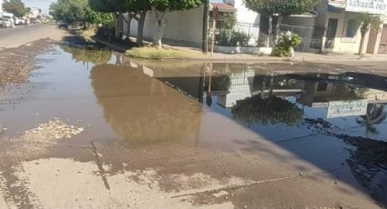 Ciudad Obregón: Aguas residuales afectan a los residentes de la colonia Cortinas