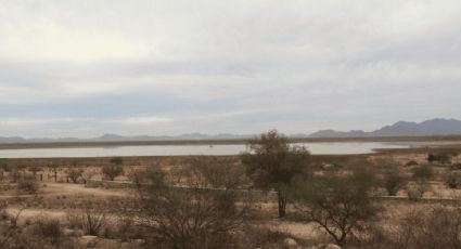 ¡Abrígate bien! Conagua advierte fin de semana con heladas y vientos en Sonora