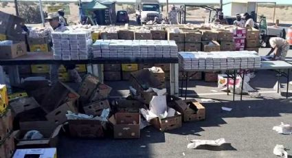 Descubren en Sonora más de 900 kilos de cocaína escondidos en cargamento de papayas