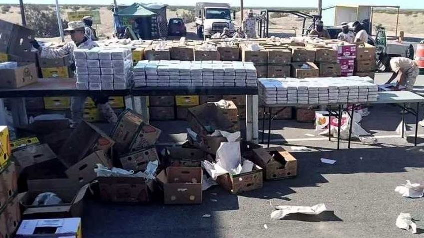 Descubren en Sonora más de 900 kilos de cocaína escondidos en cargamento de papayas