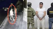 Foto ilustrativa de la nota titulada Cae 'El Nariz', principal extorsionador y operador de la Familia Michoacana en Edomex