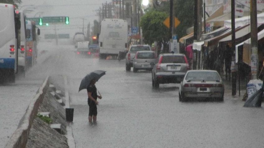 Huracán 'Milton' evoluciona a categoría 4 en el Golfo de México rumbo a Florida, EUA: NHC