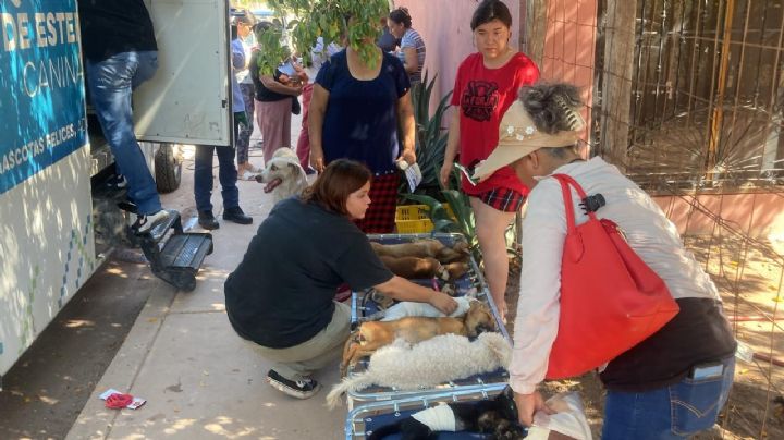 Autoridades llevan jornada de salud animal a la Machi López en Cajeme